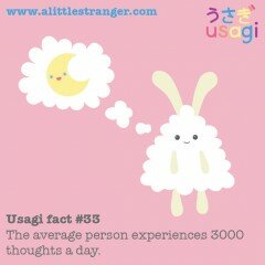 Usagi Fact #33
