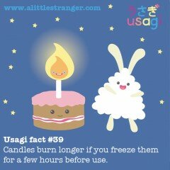 Usagi Fact #39