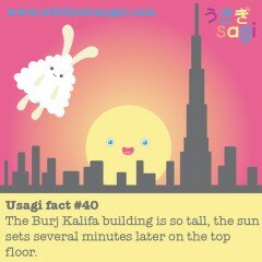 Usagi Fact #40