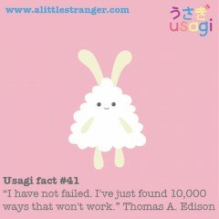 Usagi Fact #41
