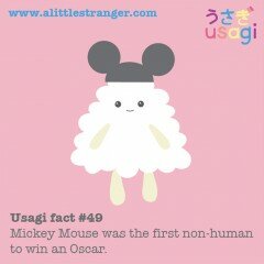 Usagi Fact #49