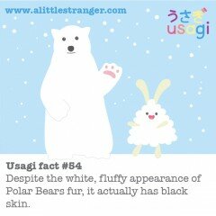 Usagi Fact #54