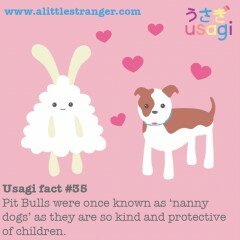 Usagi Fact #35