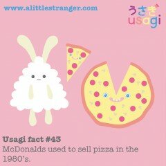 Usagi Fact #43