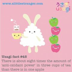 Usagi Fact #45
