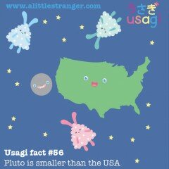 Usagi Fact #56